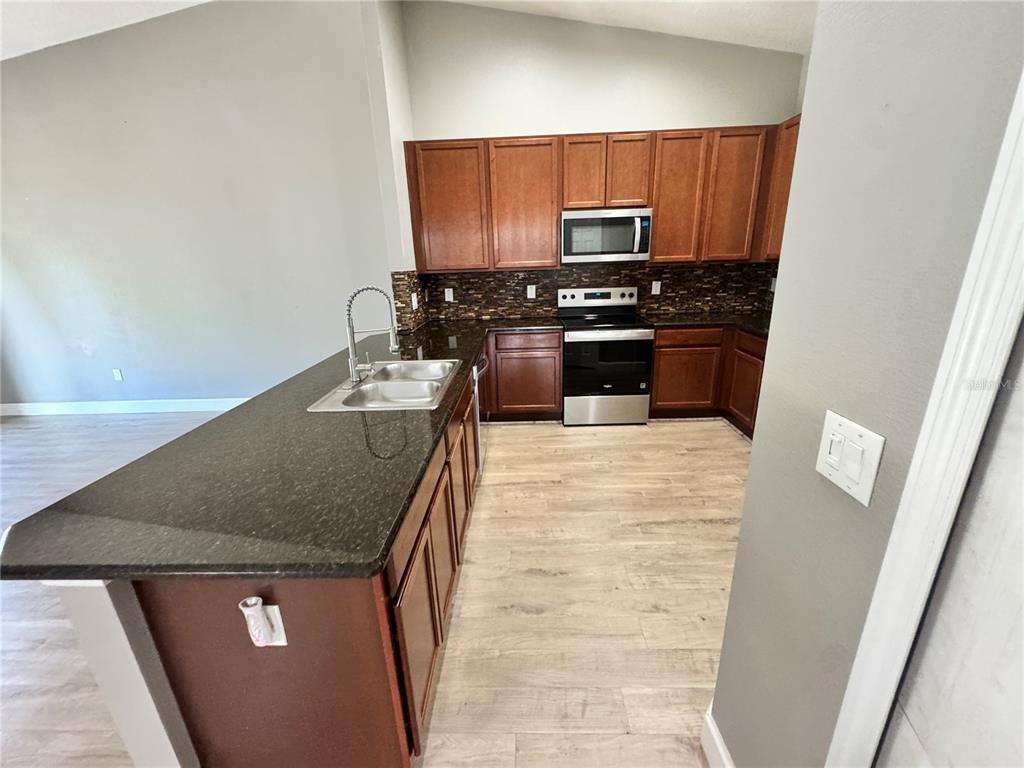 764 Chacall Loop Mount Dora, FL 32757 - Photo 4 of 16