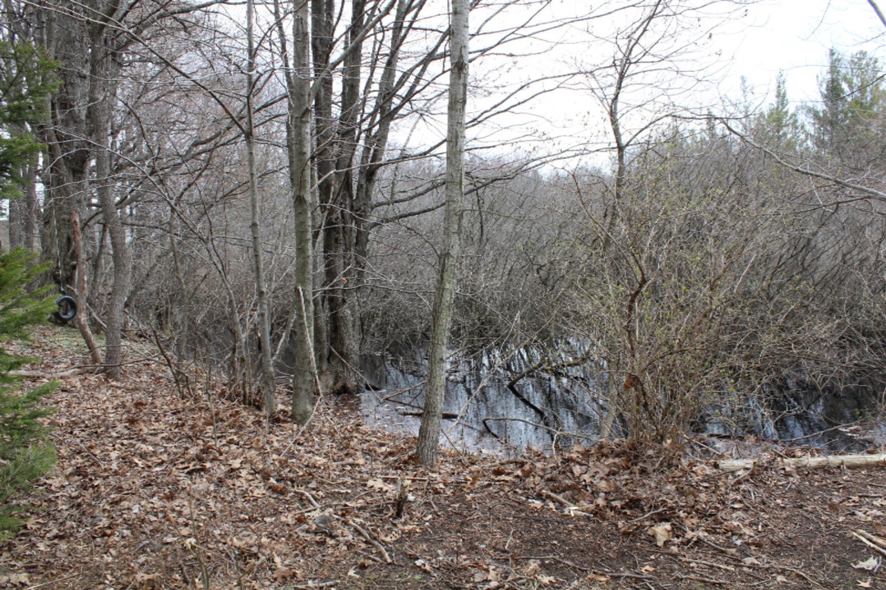 V/l West Cleveland Road Rothbury, MI 49452 - Photo 11 of 17