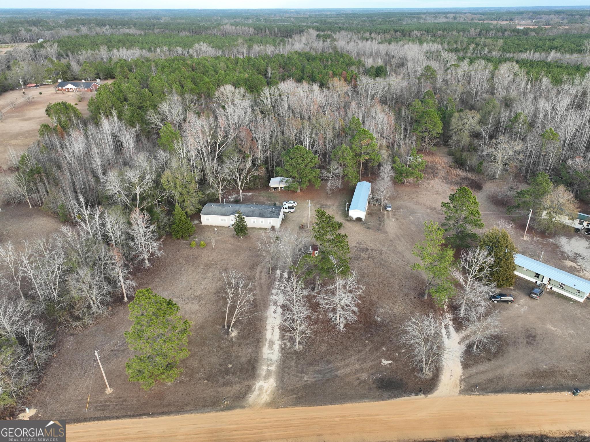 1500 Mallard Road Cobbtown, GA 30420 - Photo 11 of 20 a view of a yard with large trees