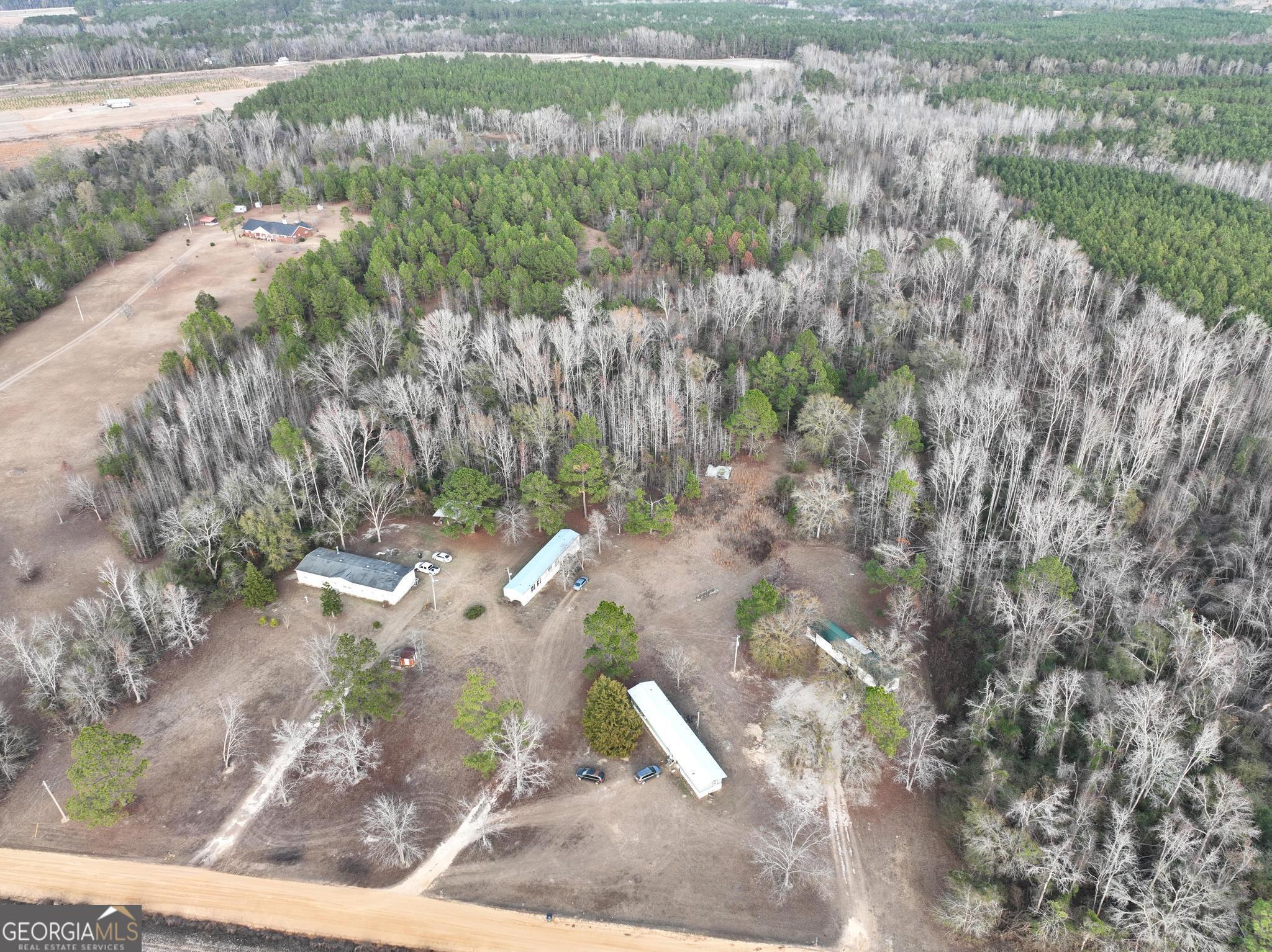 1500 Mallard Road Cobbtown, GA 30420 - Photo 12 of 20 a view of a yard with plants