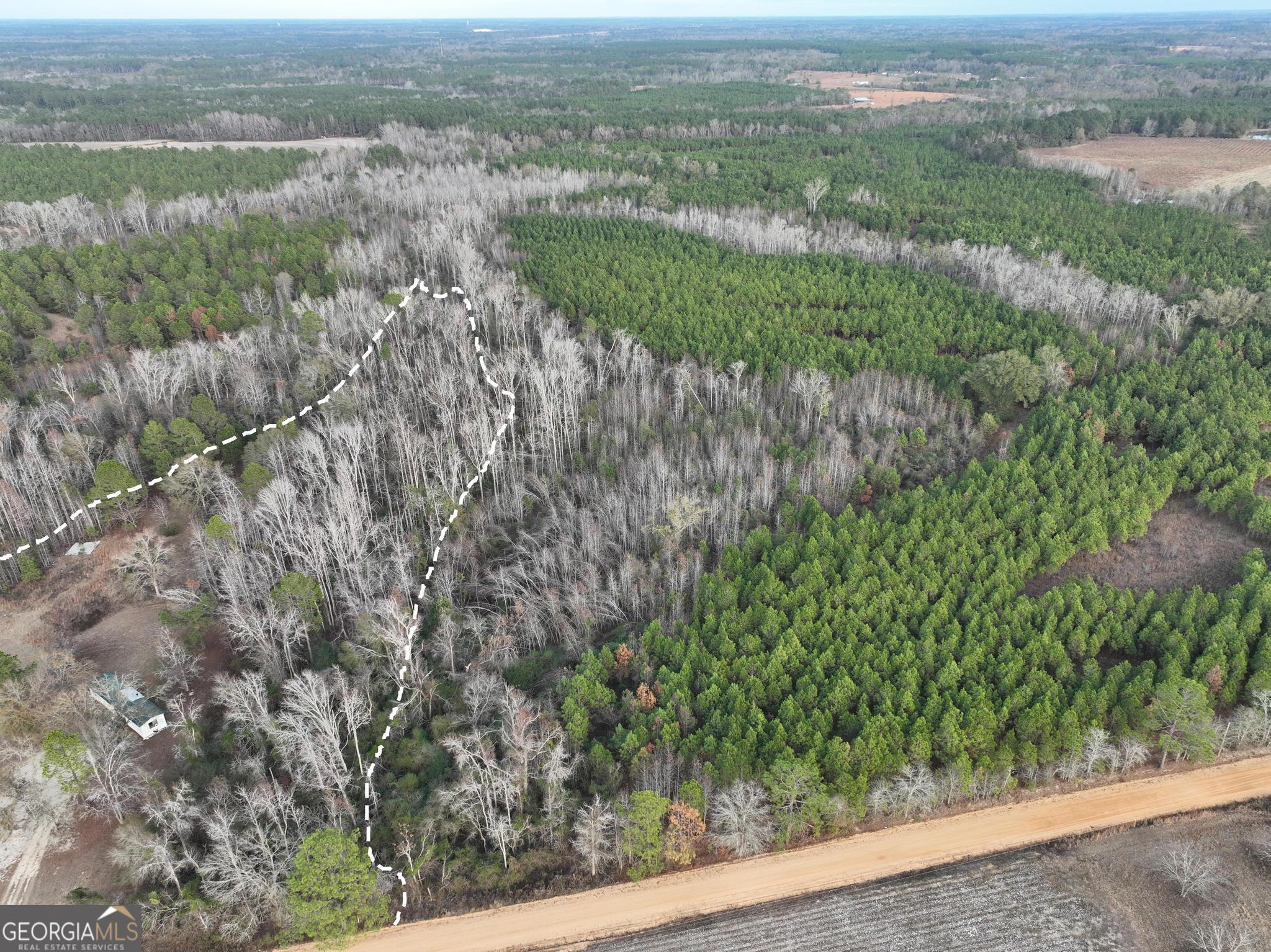 1500 Mallard Road Cobbtown, GA 30420 - Photo 13 of 20 a view of a green field with lots of bushes