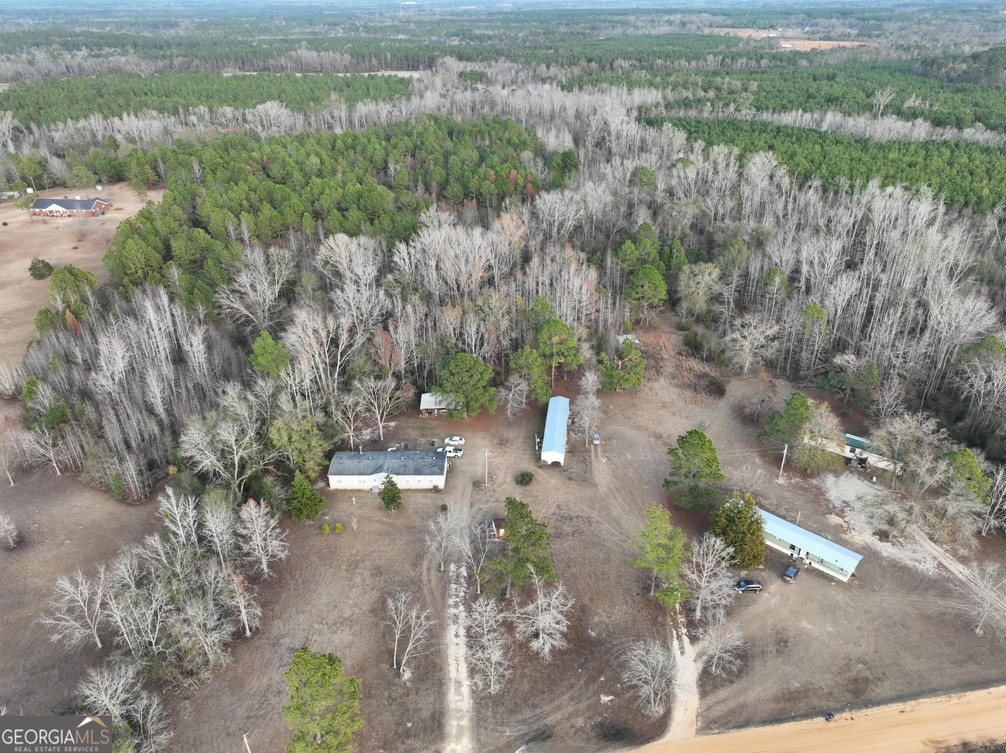 1500 Mallard Road Cobbtown, GA 30420 - Photo 2 of 20 a view of a lake with lots of trees