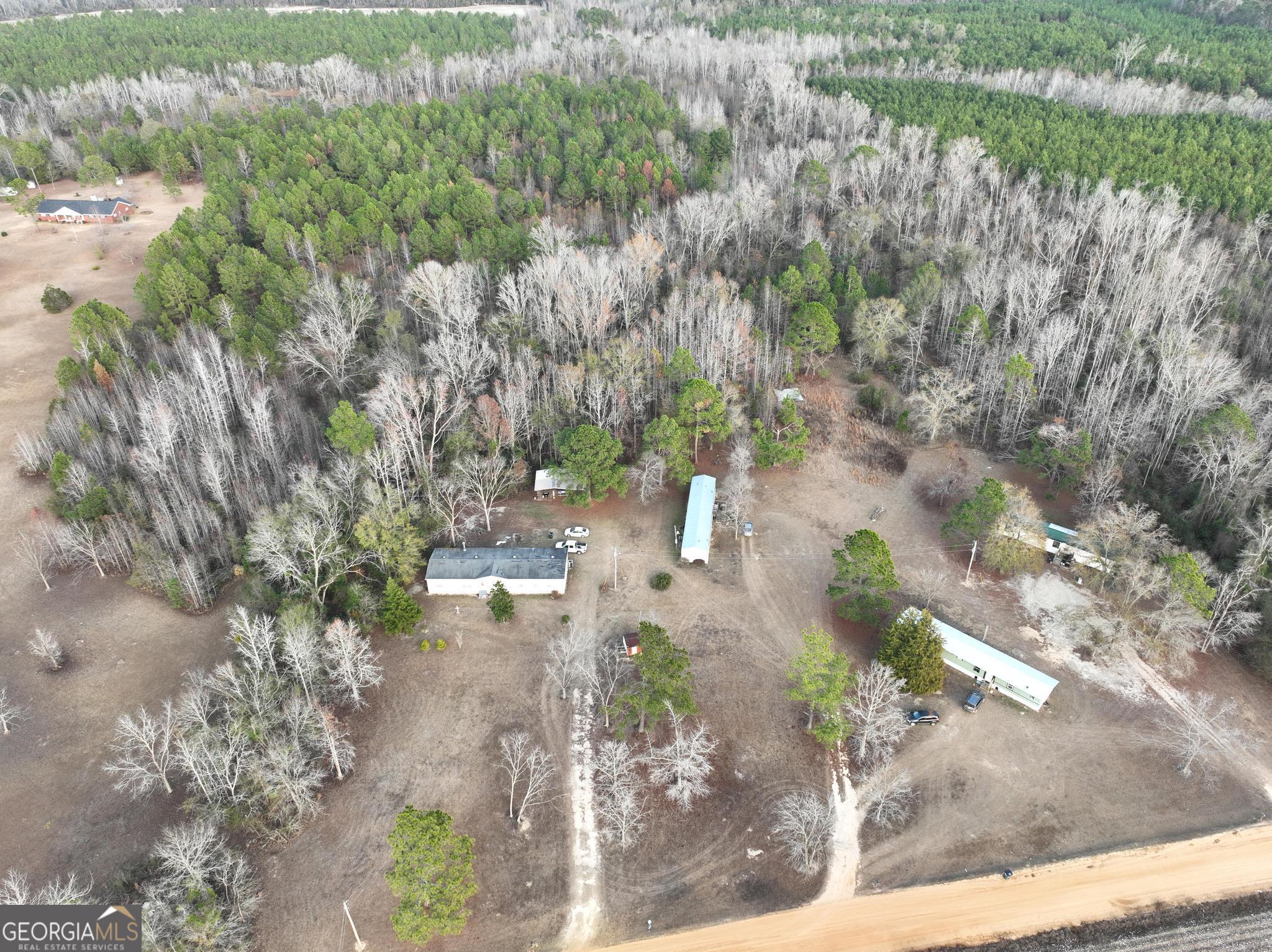 1500 Mallard Road Cobbtown, GA 30420 - Photo 3 of 20 a view of a yard with a tree