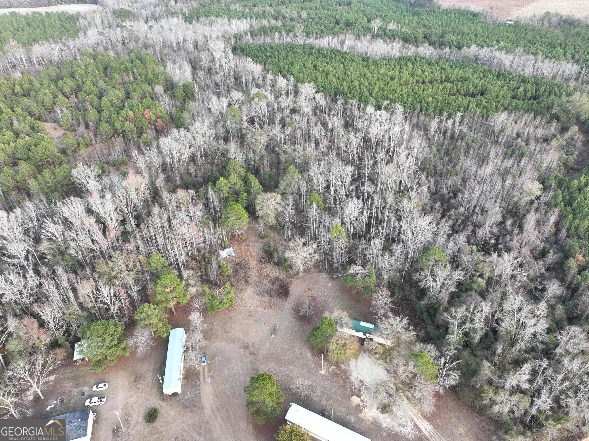 1500 Mallard Road Cobbtown, GA 30420 - Photo 5 of 20 a view of a garden with a tree