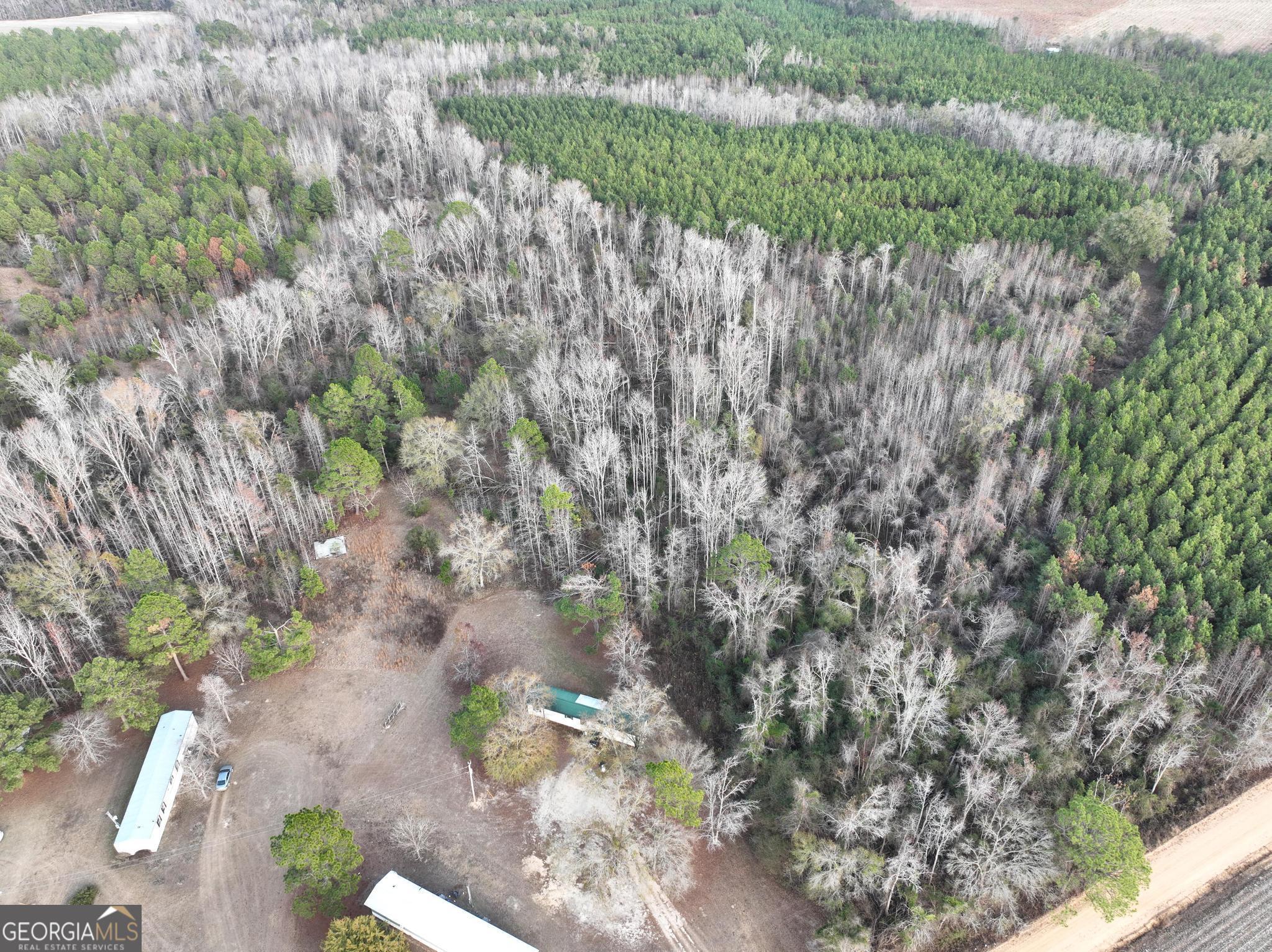 1500 Mallard Road Cobbtown, GA 30420 - Photo 6 of 20 a view of a yard with plants