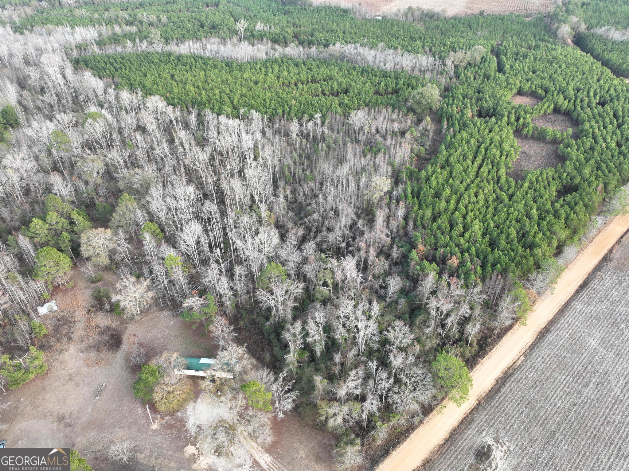 1500 Mallard Road Cobbtown, GA 30420 - Photo 7 of 20 a view of a garden with a plant