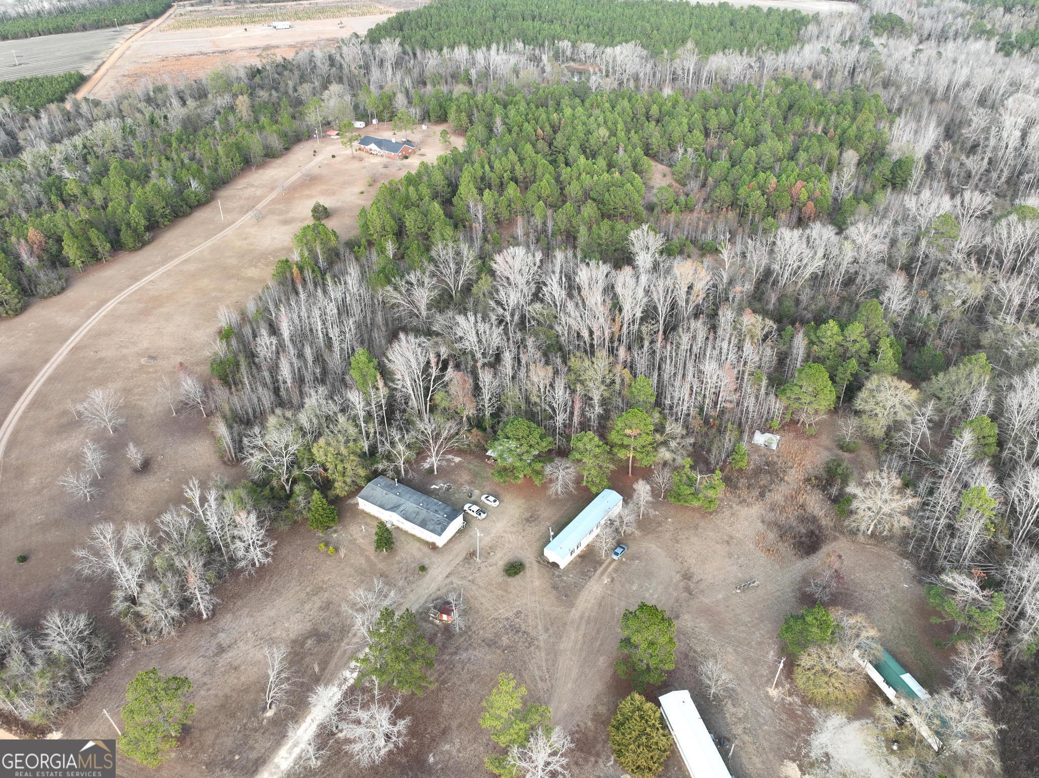 1500 Mallard Road Cobbtown, GA 30420 - Photo 8 of 20 a view of a yard with plants and large trees