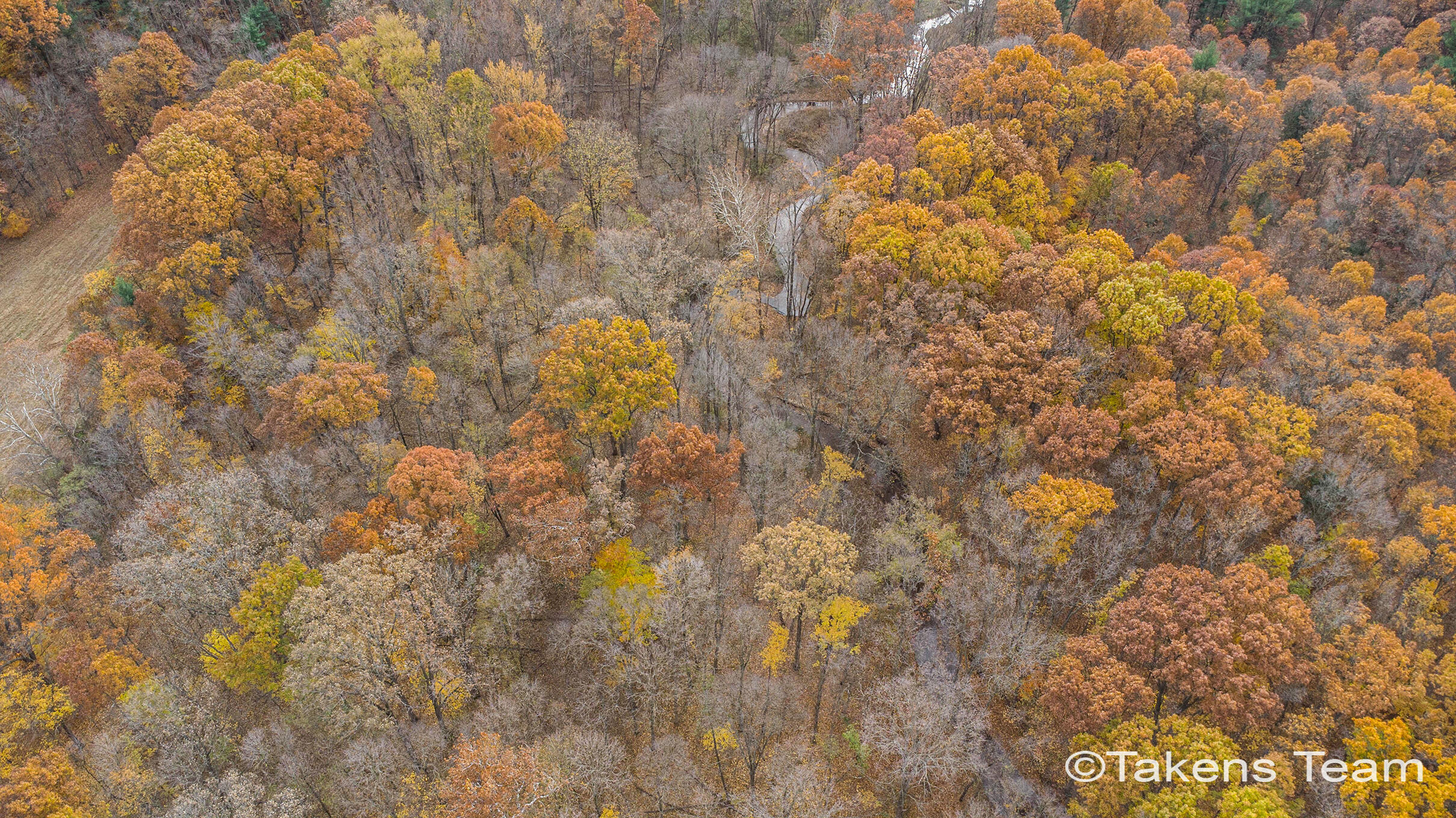 2729 138th Avenue Dorr, MI 49323 - Photo 16 of 26 DJI_0342