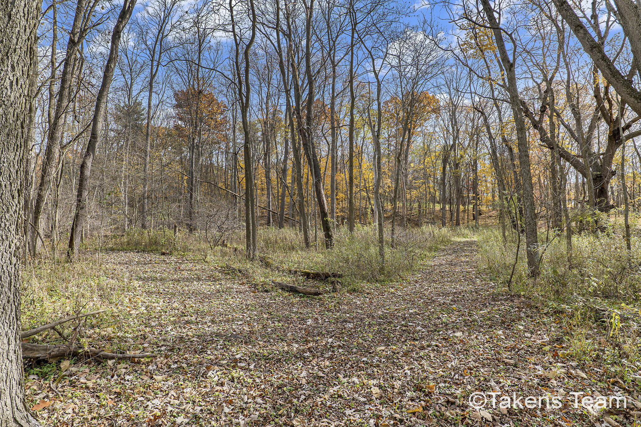 2729 138th Avenue Dorr, MI 49323 - Photo 21 of 26 138th-4
