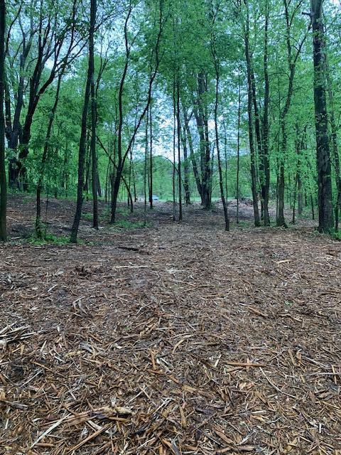 2729 138th Avenue Dorr, MI 49323 - Photo 22 of 26 image0