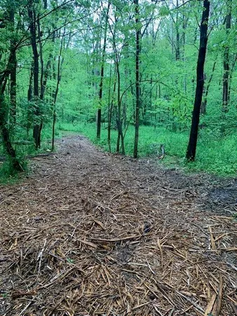 $189,000 | 2729 138th Avenue, Dorr, MI 49323