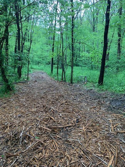 2729 138th Avenue Dorr, MI 49323 - Photo 23 of 26 image1