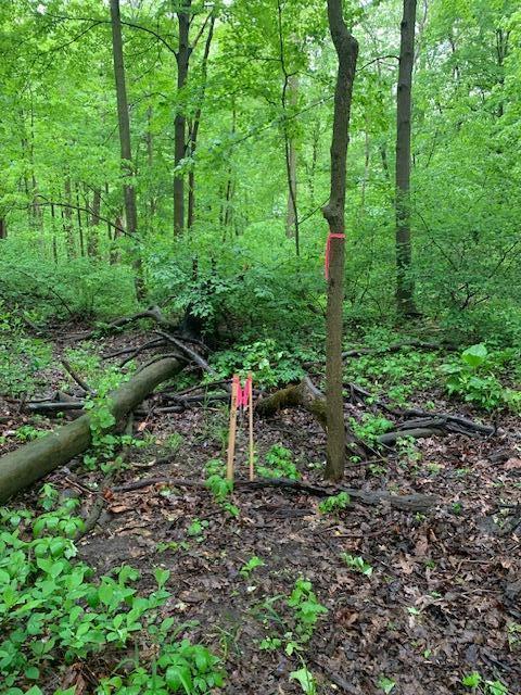 2729 138th Avenue Dorr, MI 49323 - Photo 24 of 26 image2