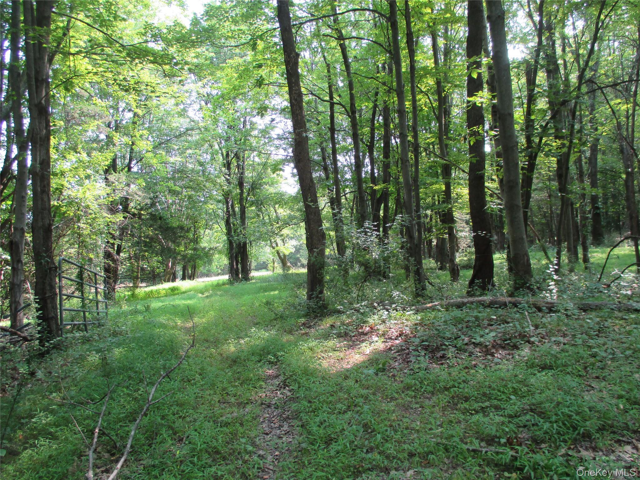 Brady Road Warwick, NY 10990 - Photo 11 of 13 a big yard with lots of green space and trees