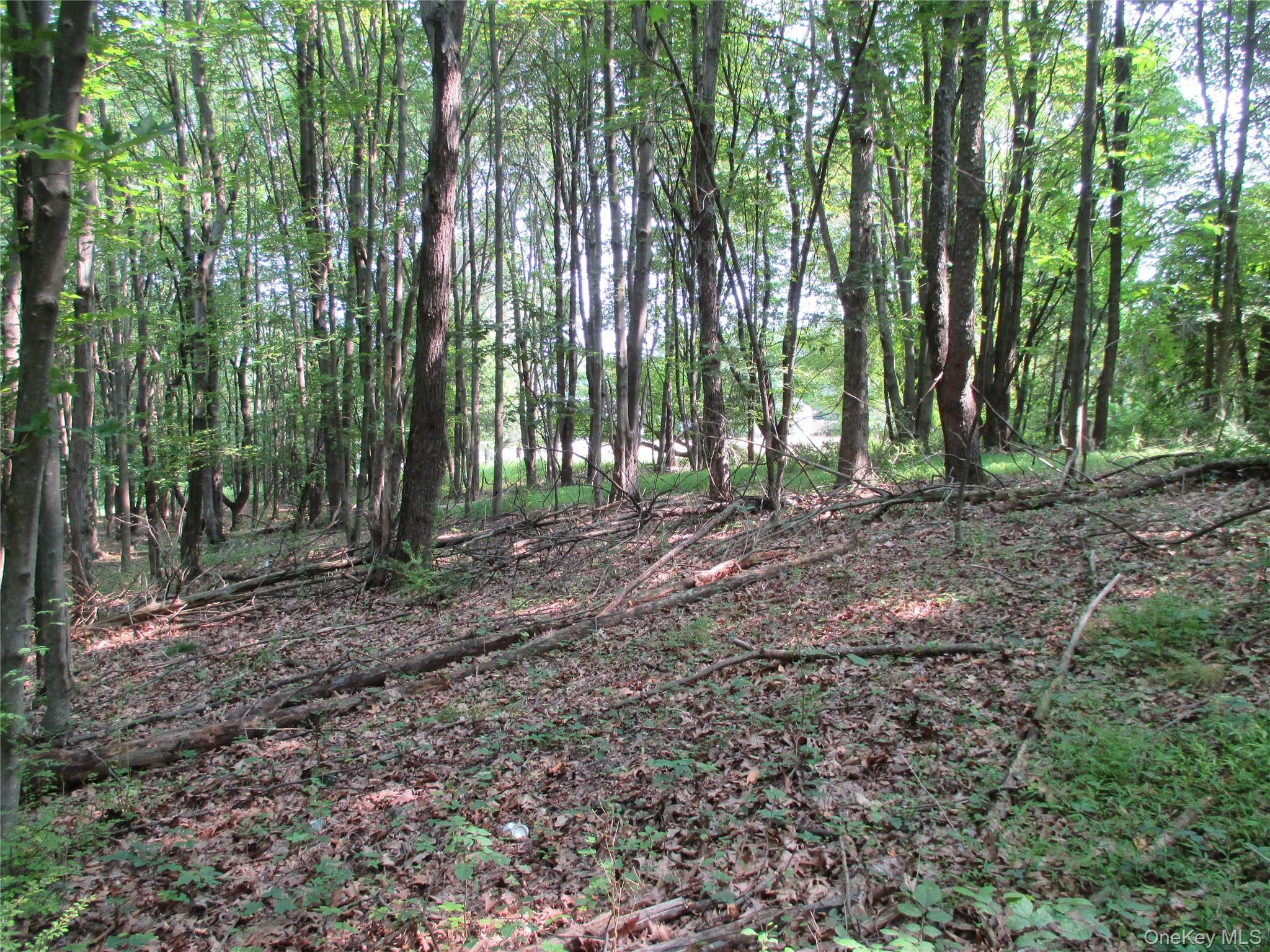 Brady Road Warwick, NY 10990 - Photo 12 of 13 a view of outdoor space with green space
