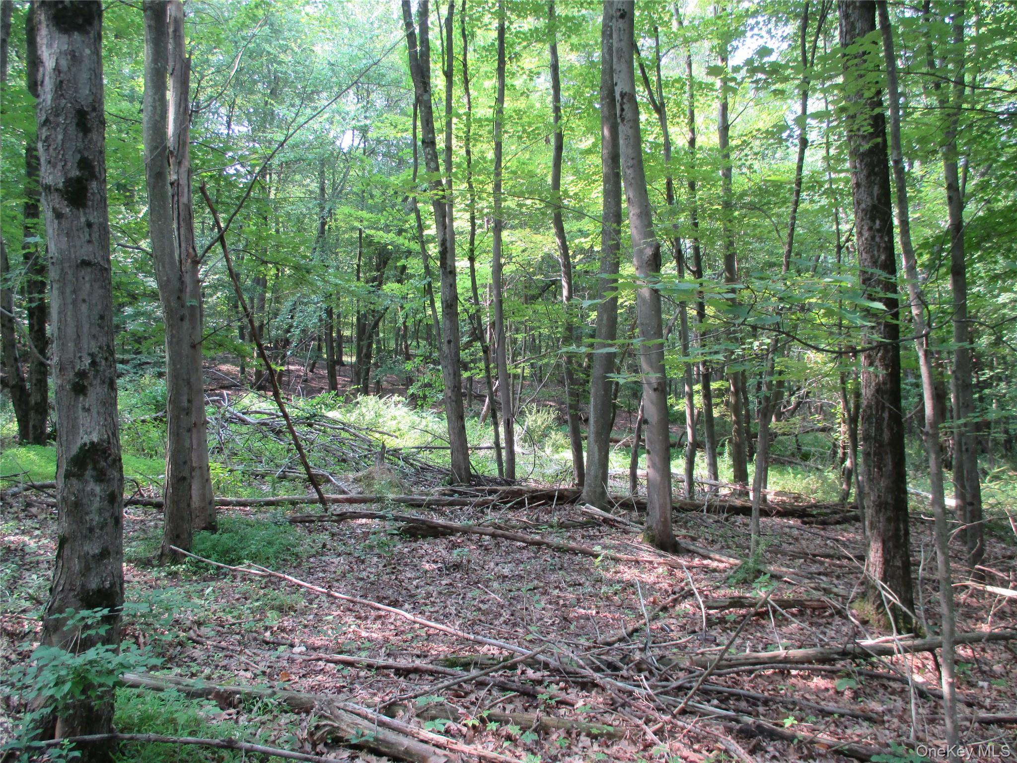 Brady Road Warwick, NY 10990 - Photo 13 of 13 a backyard of a house with lots of green space
