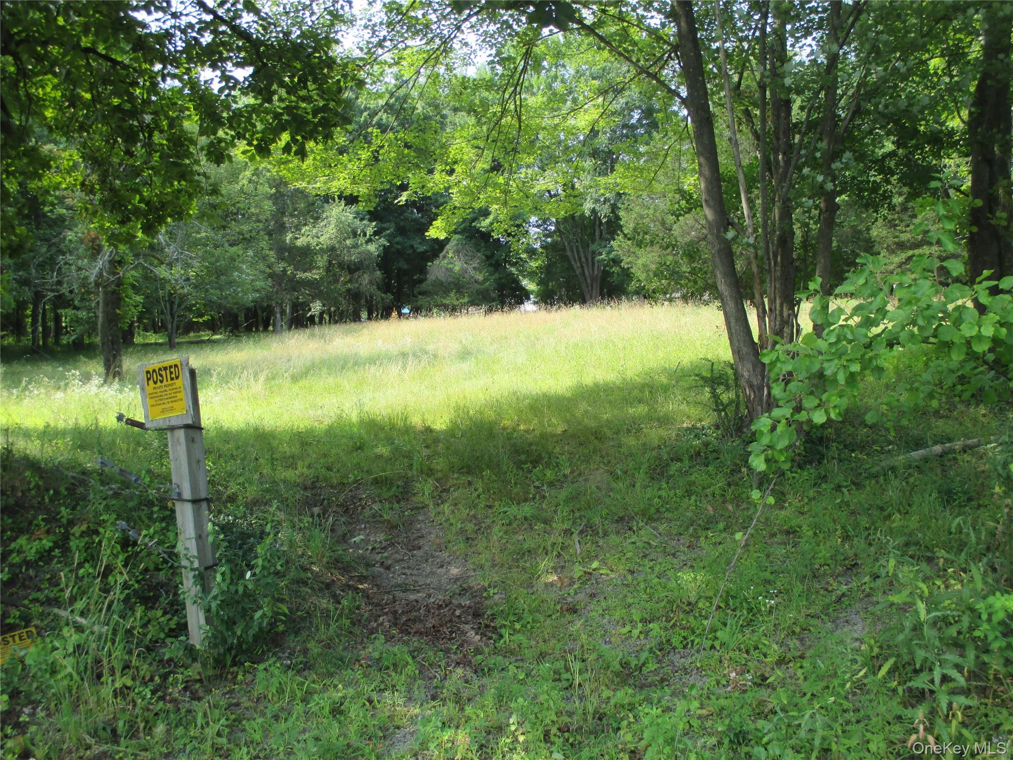 Brady Road Warwick, NY 10990 - Photo 2 of 13 a view of a yard with a tree