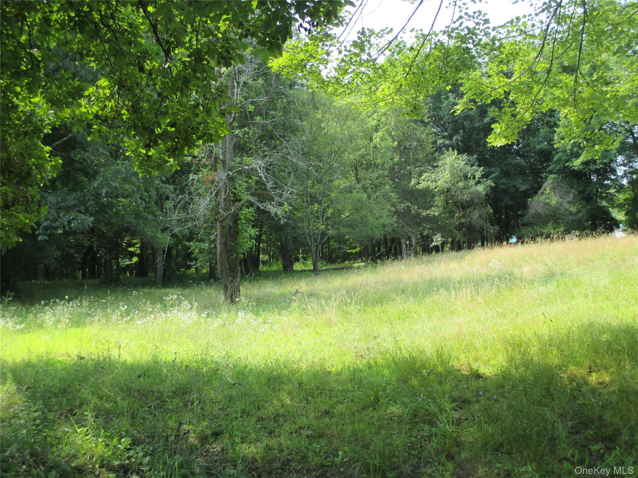 Brady Road Warwick, NY 10990 - Photo 6 of 13 a backyard of a house with lots of plants and tree