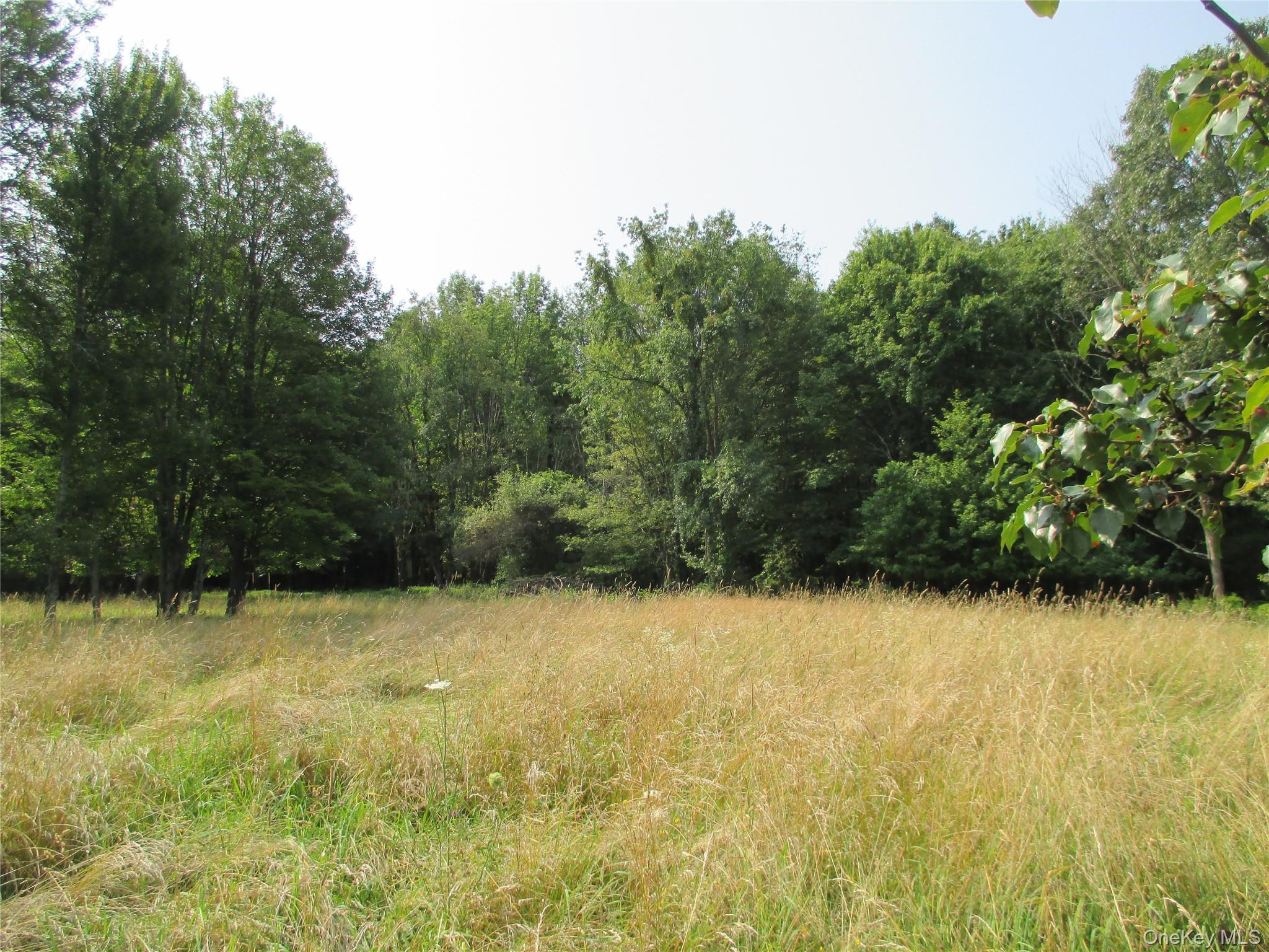 Brady Road Warwick, NY 10990 - Photo 8 of 13 a view of a green yard