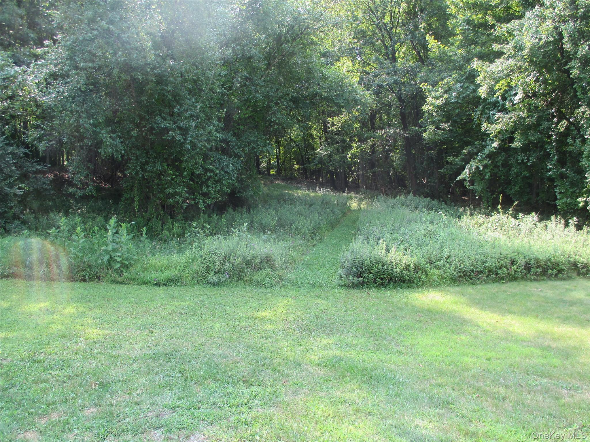 Brady Road Warwick, NY 10990 - Photo 9 of 13