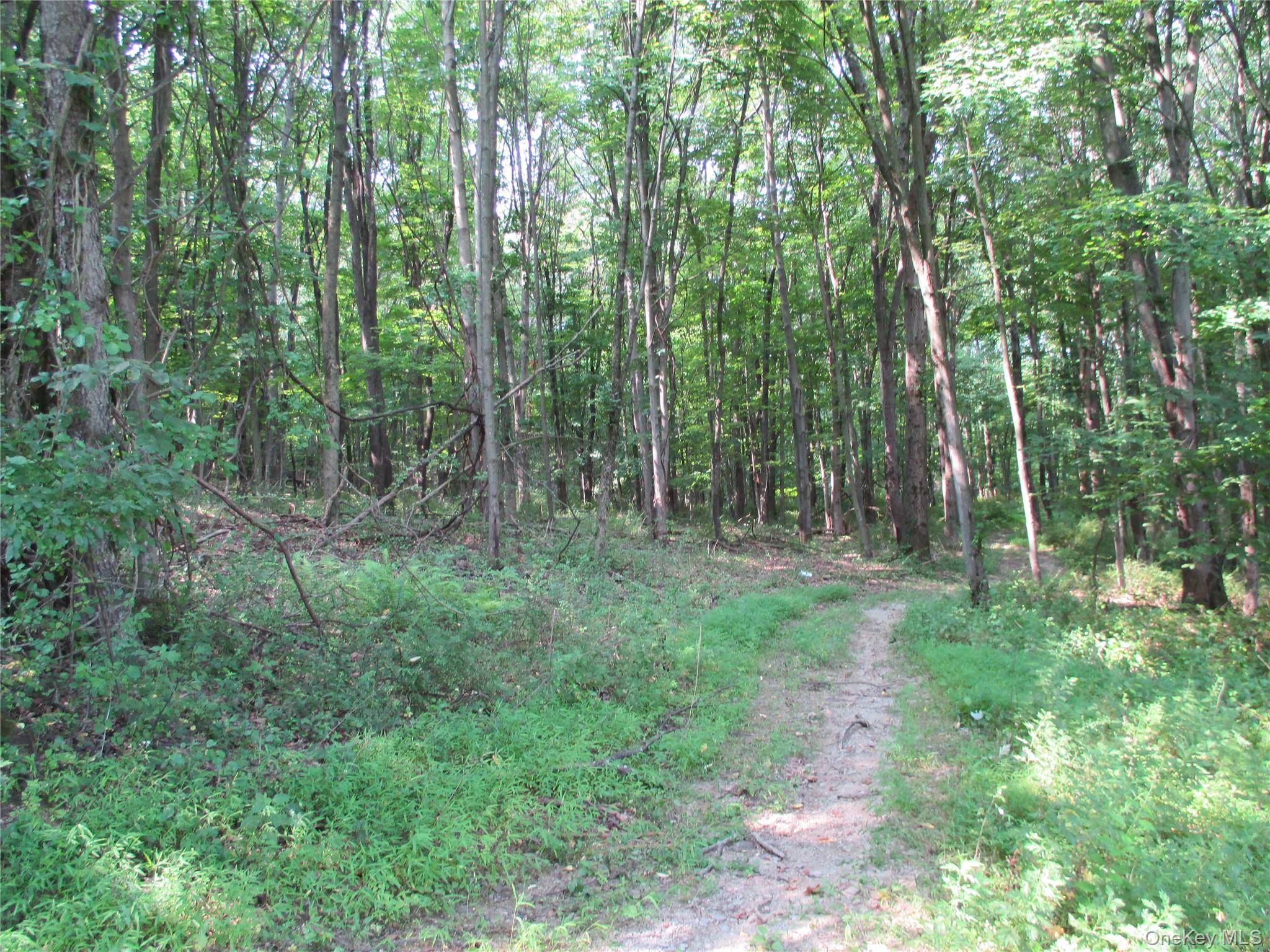 Brady Road Warwick, NY 10990 - Photo 10 of 13 a view of outdoor space and green space