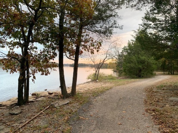 4001 Anderson Road, Unit O41 Nashville, TN 37217 - Photo 36 of 36