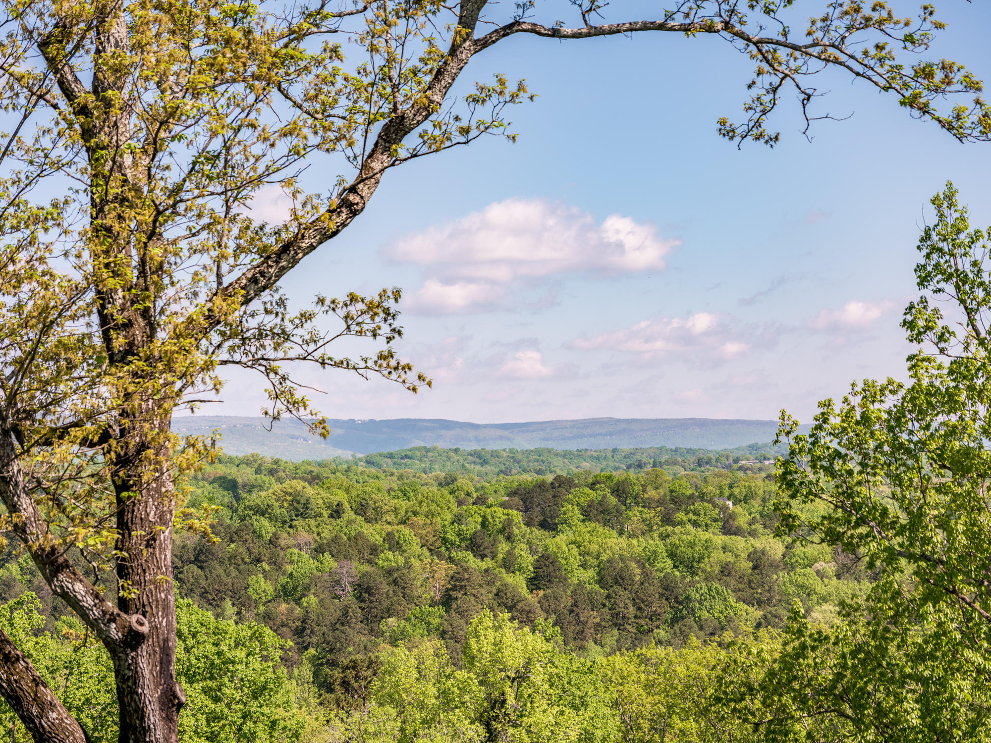 1714 Minnekahda Road Chattanooga, TN 37405 - Photo 28 of 65 1714_Minnekahda_Rd_22