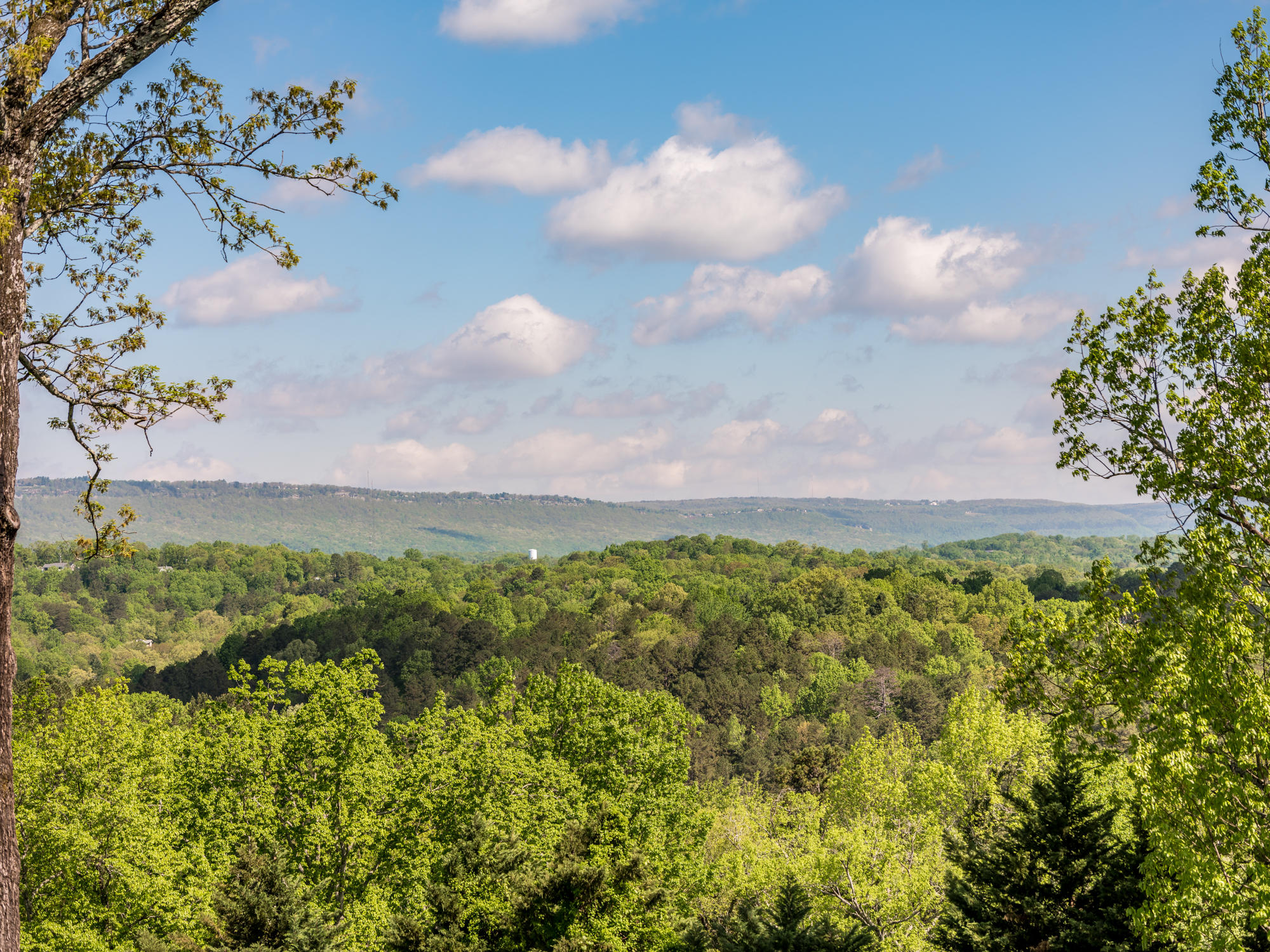 1714 Minnekahda Road Chattanooga, TN 37405 - Photo 33 of 65 1714_Minnekahda_Rd_16