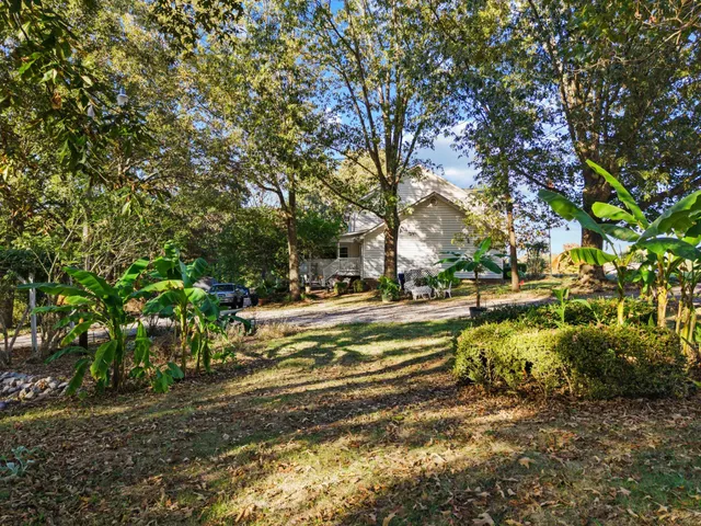 a view of yard with tree