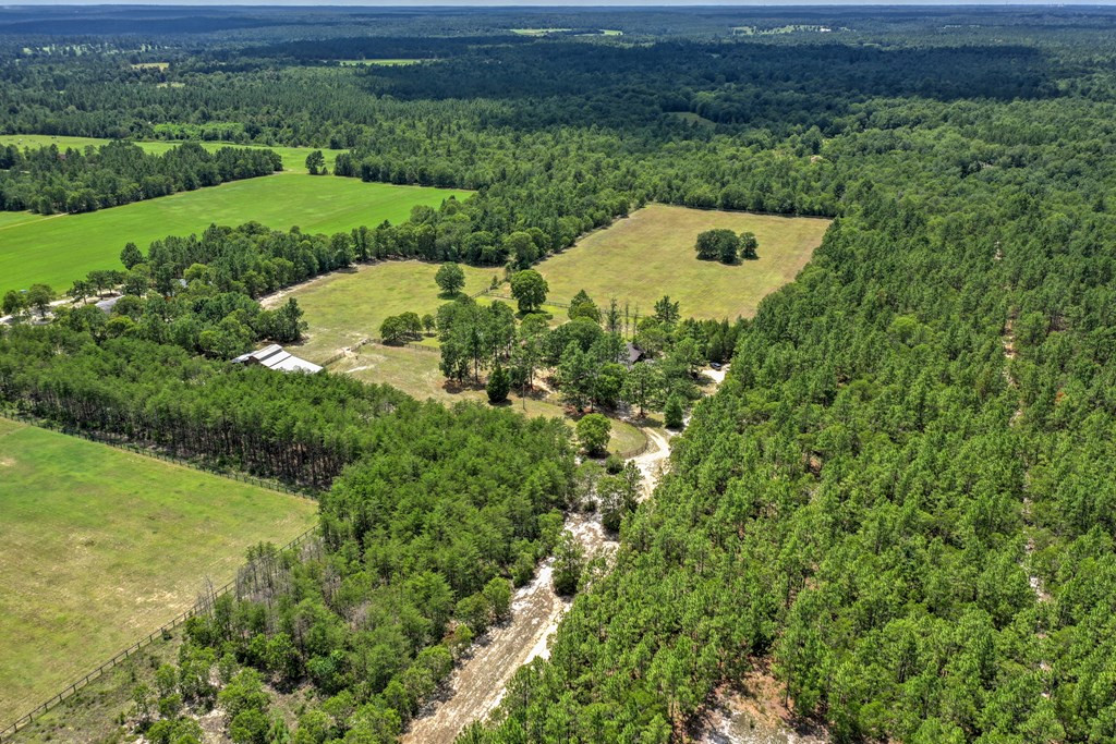 224 Cadle Crossing Road Windsor, SC 29856 - Photo 3 of 32