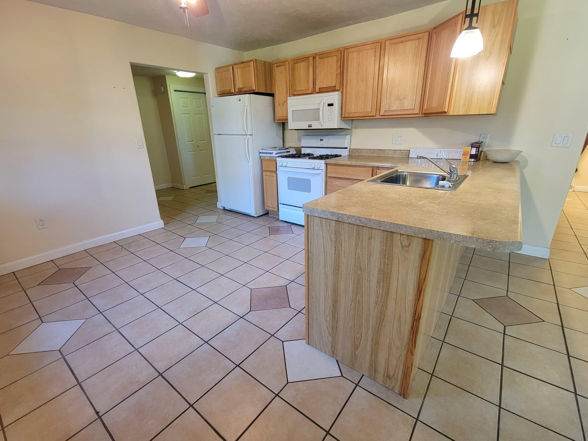 19270 1 Mile Road Morley, MI 49336 - Photo 9 of 16 KITCHEN (2)