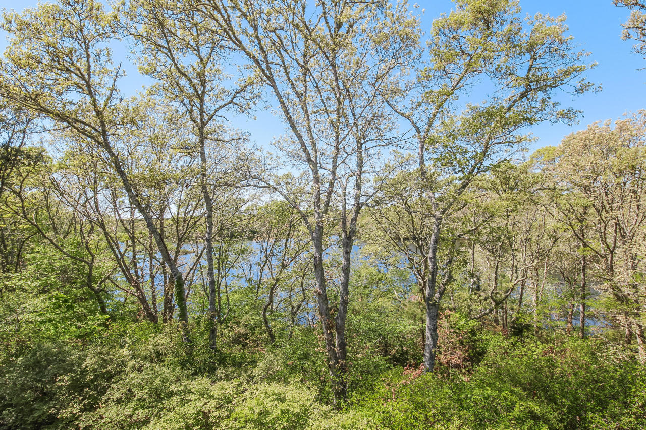 17 Grovedale Road Oak Bluffs, MA 02557 - Photo 27 of 31 Additional Photo
