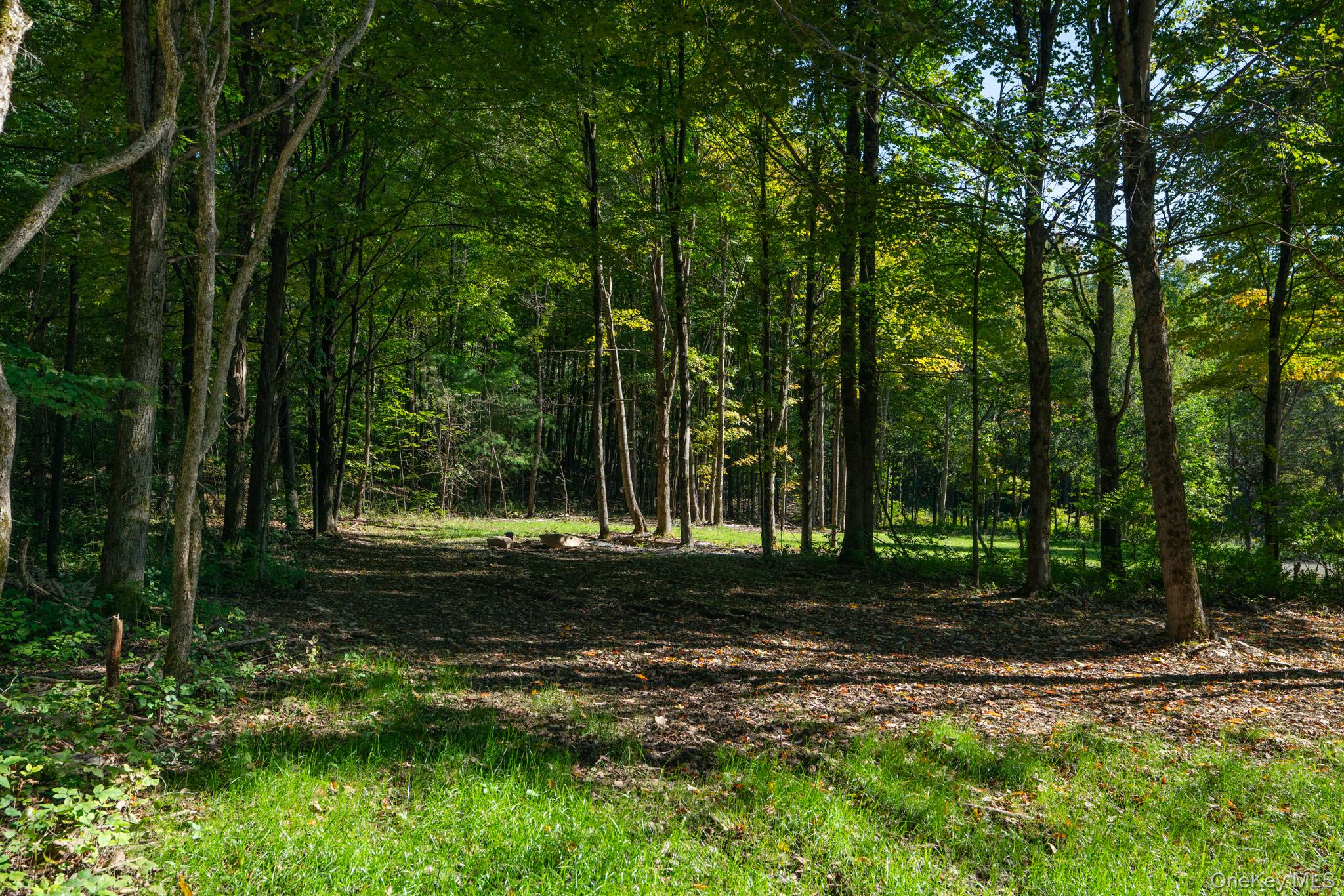 2155 Ed Klug Road Franklin, NY 13839 - Photo 16 of 24 a view of a park