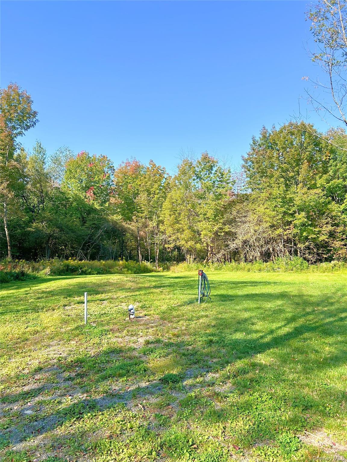 2155 Ed Klug Road Franklin, NY 13839 - Photo 21 of 24 a view of a golf course with a lake