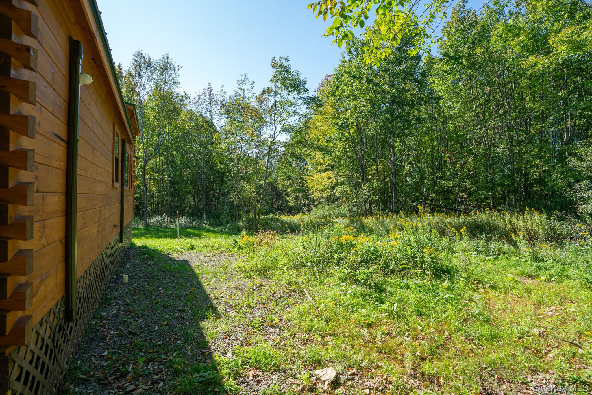 2155 Ed Klug Road Franklin, NY 13839 - Photo 5 of 24 a view of a yard with plants and large trees