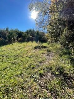 0 McCarter Hollow Road Sevierville, TN 37862 - Photo 4 of 17