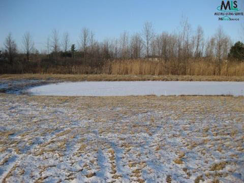 5909 Wildcat Road North Street, MI 48049 - Photo 4 of 4 929268-3.JPG