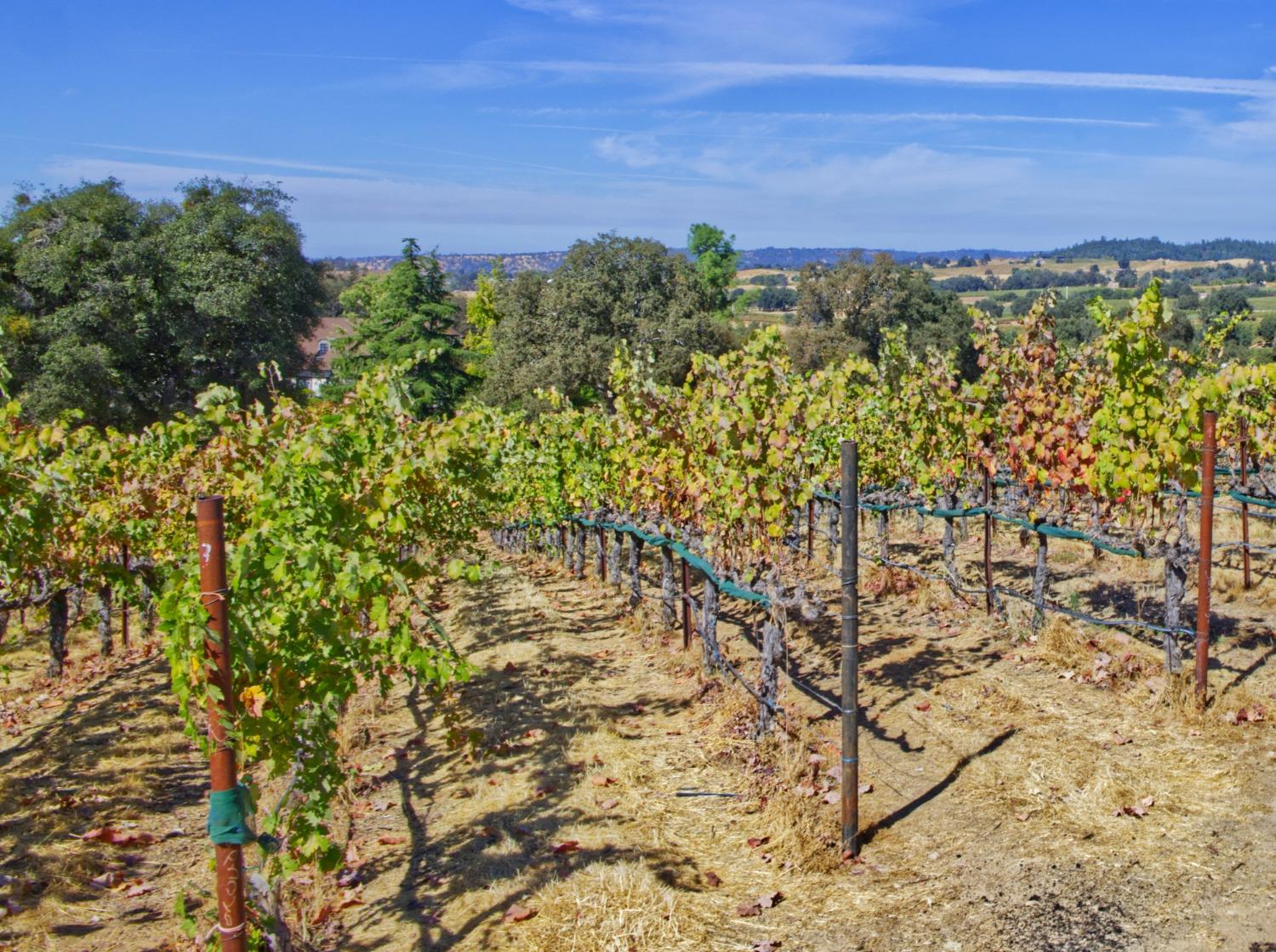 0 Veauta Road Plymouth, CA 95669 - Photo 8 of 11