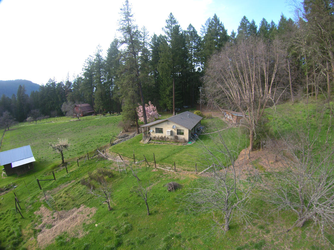 1090 Denny Road Burnt Ranch, CA 95527 - Photo 1 of 1 a view of a table and chairs in the garden