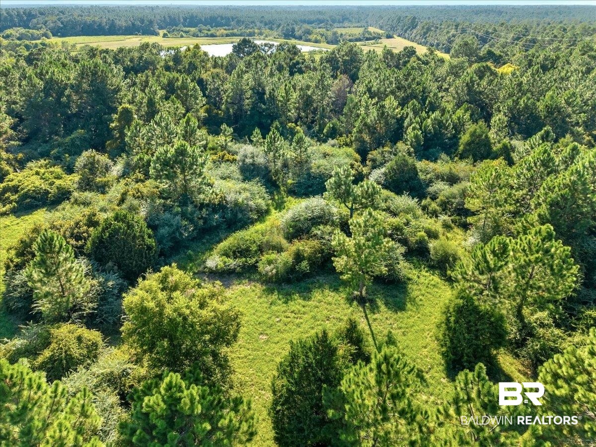 0 Stucki Road Elberta, AL 36530 - Photo 5 of 15 View of property location