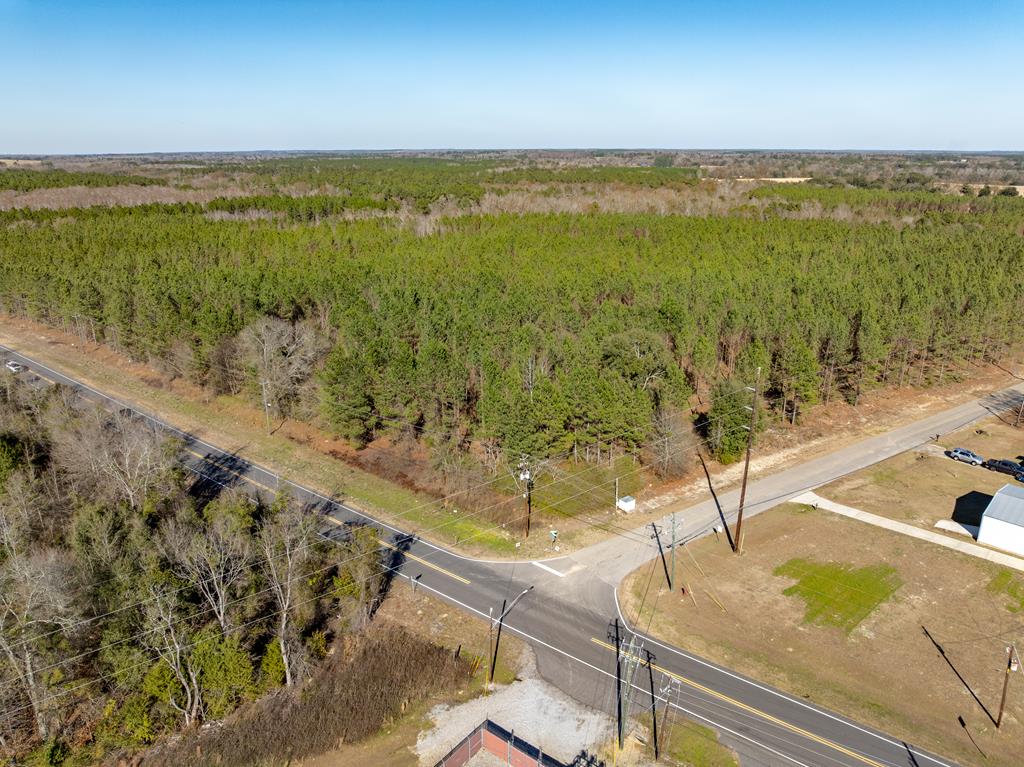 Lot 3-15 -ac Cottonwood Rd/ Phillips Road Cottonwood, AL 36320 - Photo 46 of 49
