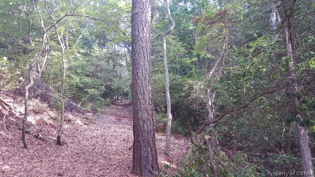 0 Pebble Heathsville, VA 22473 - Photo 5 of 6