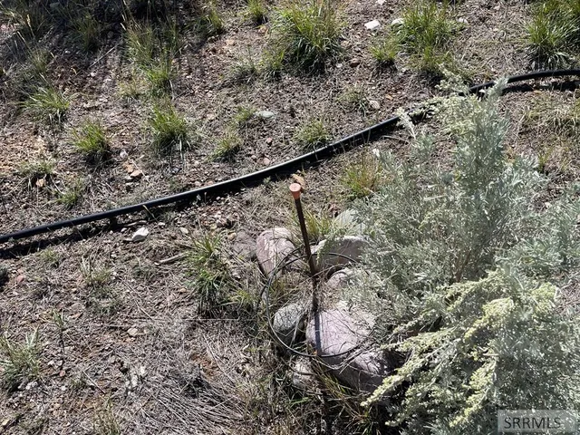 $249,000 | 411 Highway 93, Challis, ID 83226