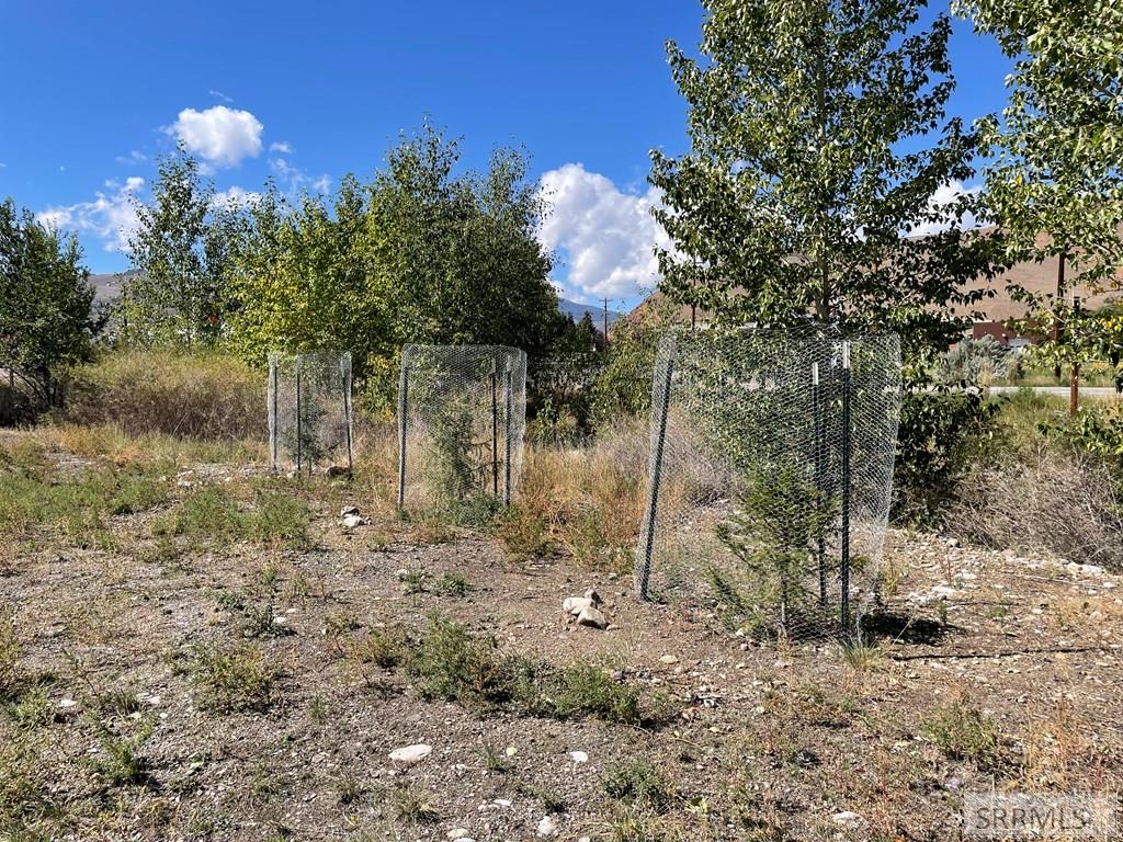 411 Highway 93 Challis, ID 83226 - Photo 12 of 29