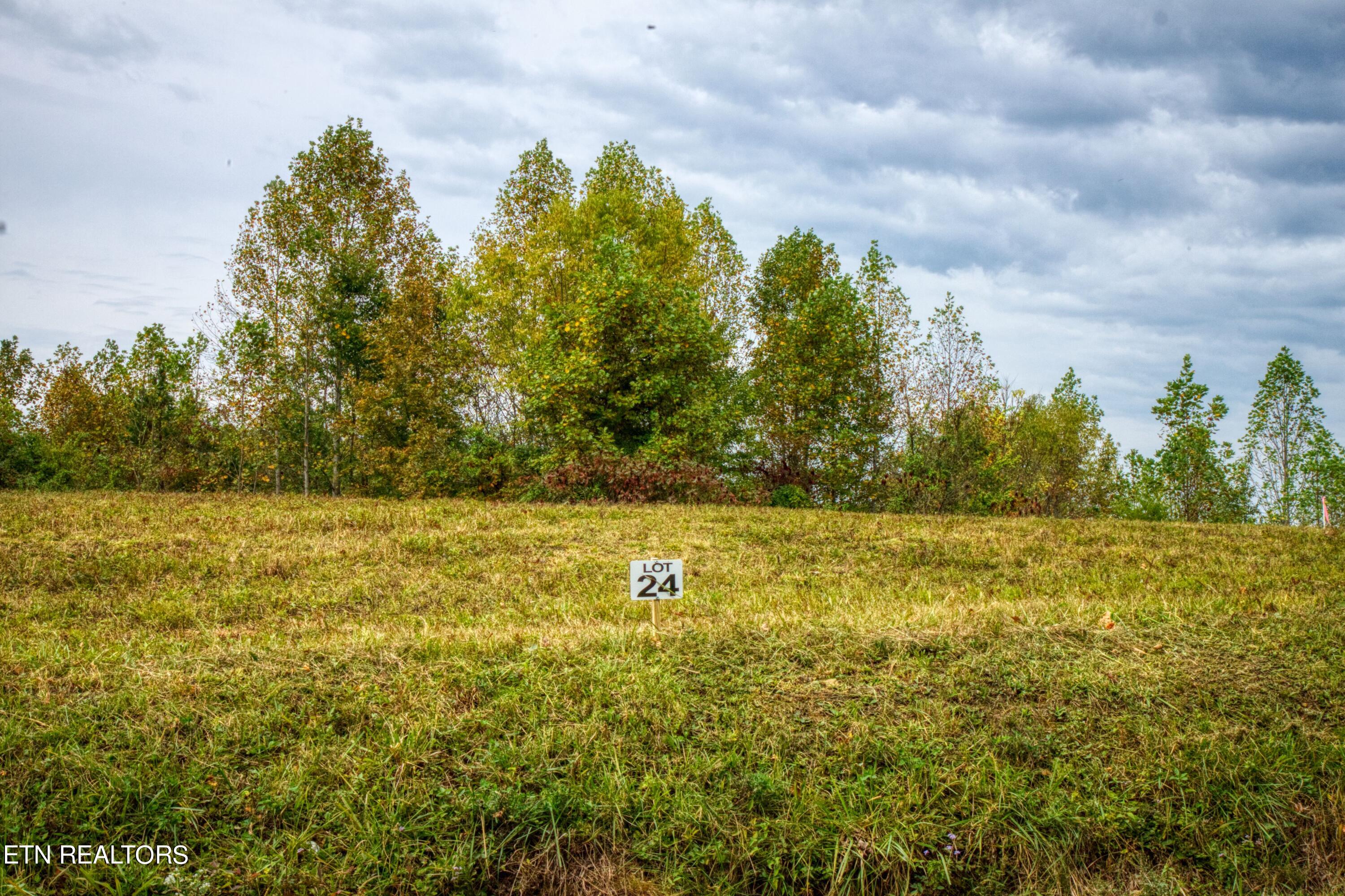 Lot 24 Old Mt Helen Road Allardt, TN 38504 - Photo 4 of 4 1
