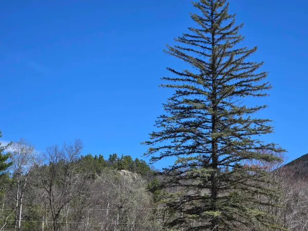 $259,900 | 1089 Highway 16, Bartlett, NH 03838