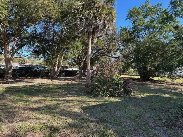 a view of a tree in the middle of a yard