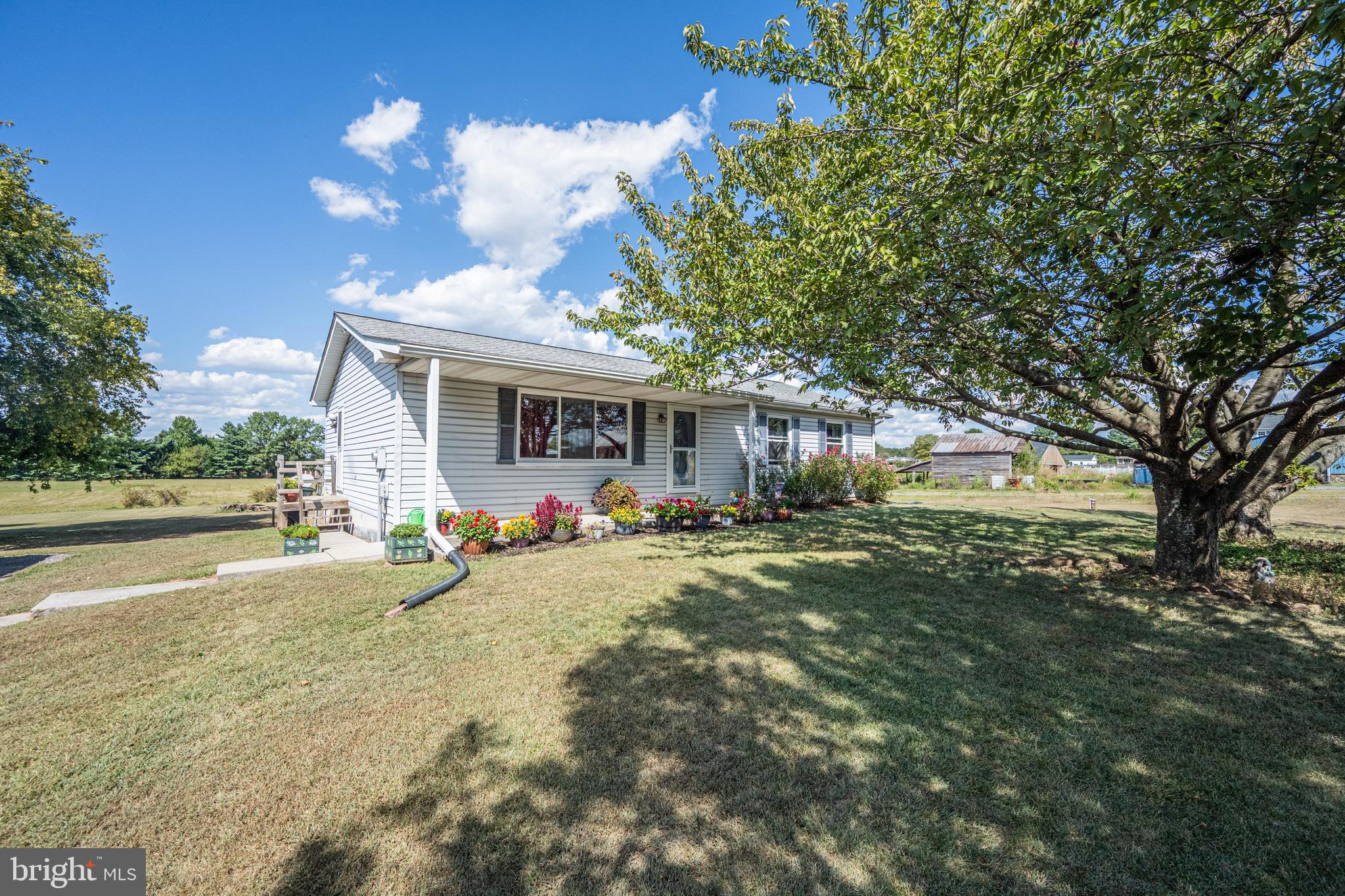 a view of a house with a yard and large tree