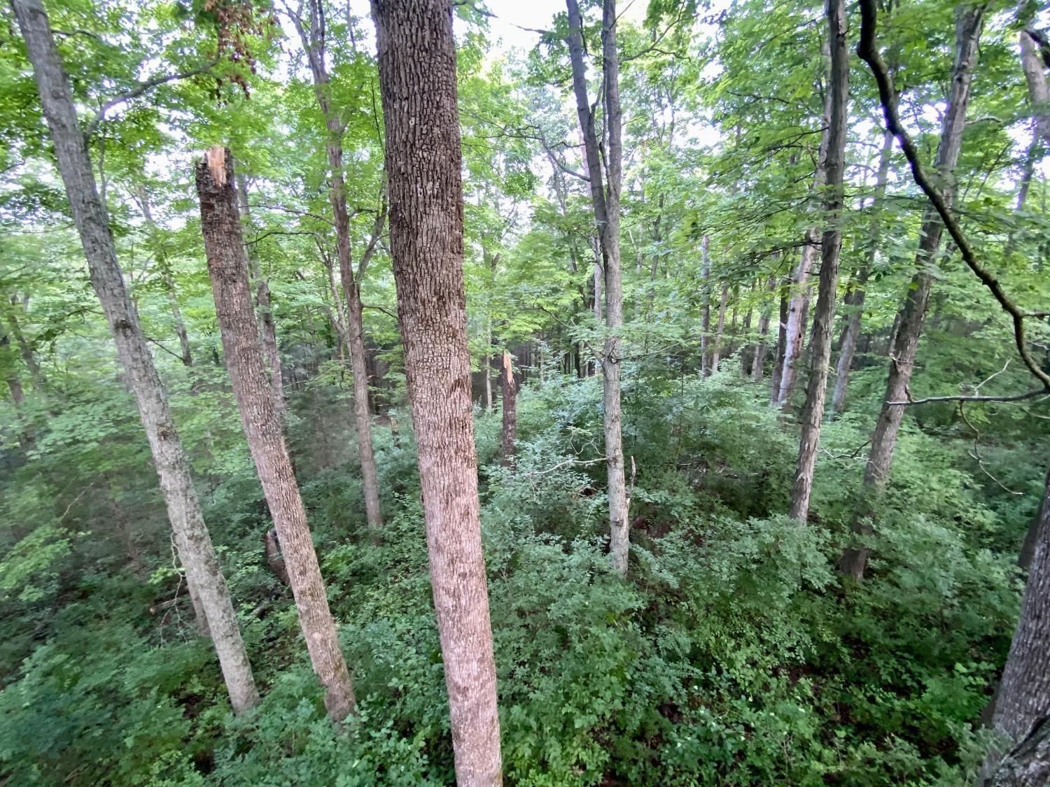 Acre Brier Ridge Road West Union, OH 45693 - Photo 15 of 27