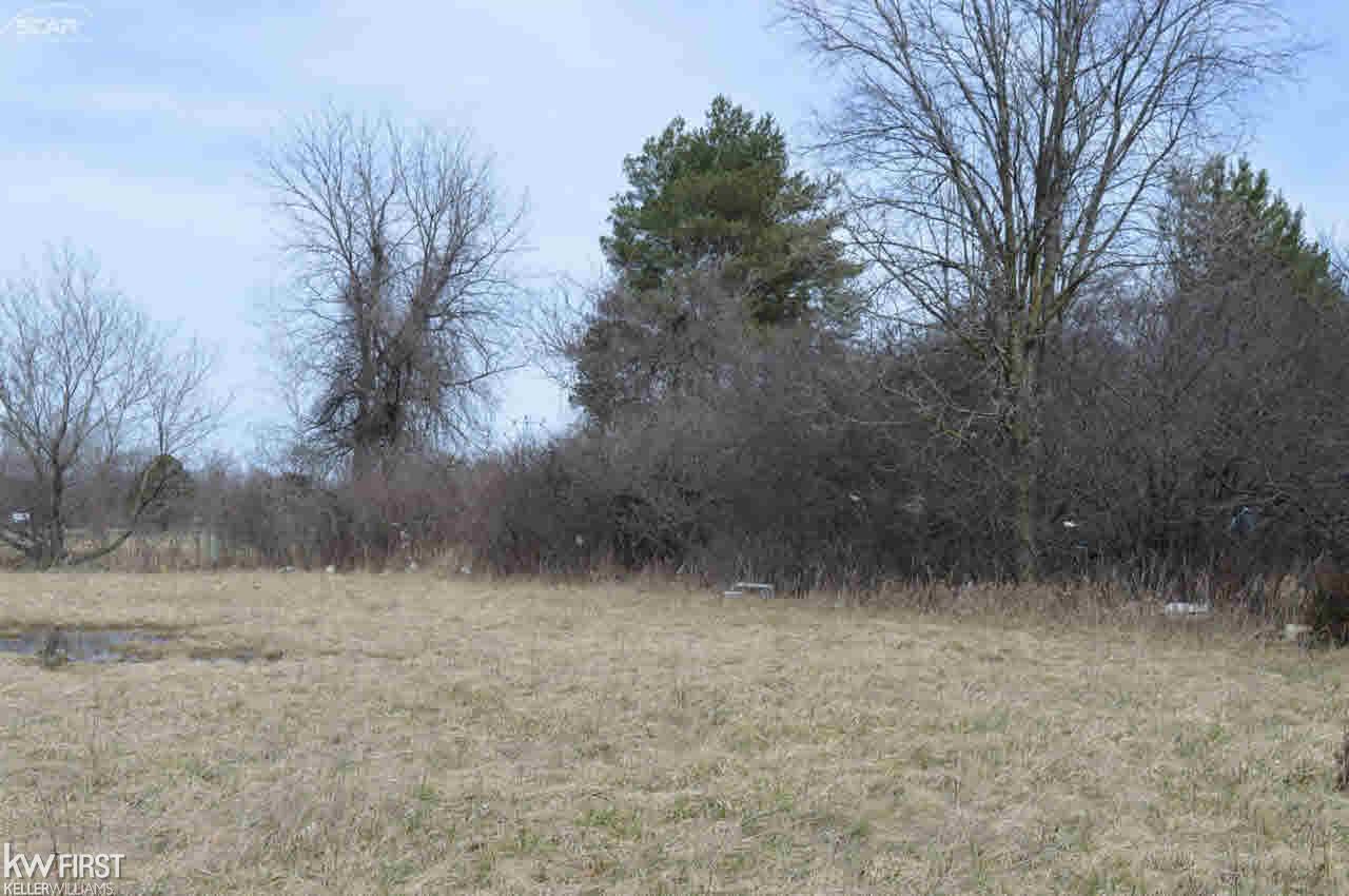 0 Walli Strasse Road Burton, MI 48509 - Photo 1 of 5